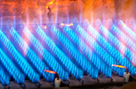 Shelwick gas fired boilers